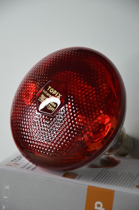 Лампа TOPIX PAR38 красная 175W - 220V, твердостекольная, патрон E27