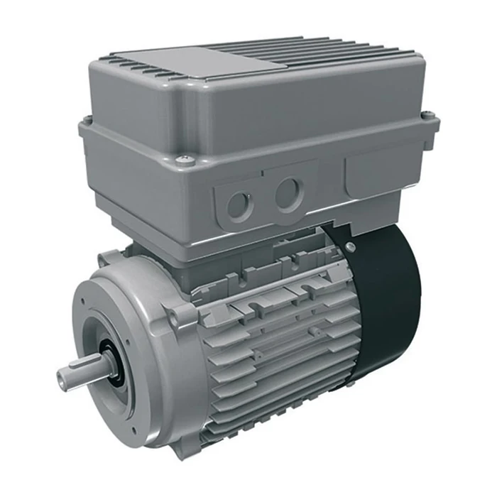 Электродвигатель 8,8кг, 110/115/120V\60Hz (5-wire, type G)