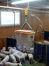Кормушка PigNic 11/16 для откорма, без разделителя V13